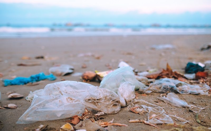 Plastikowe odpady na brzegu morza